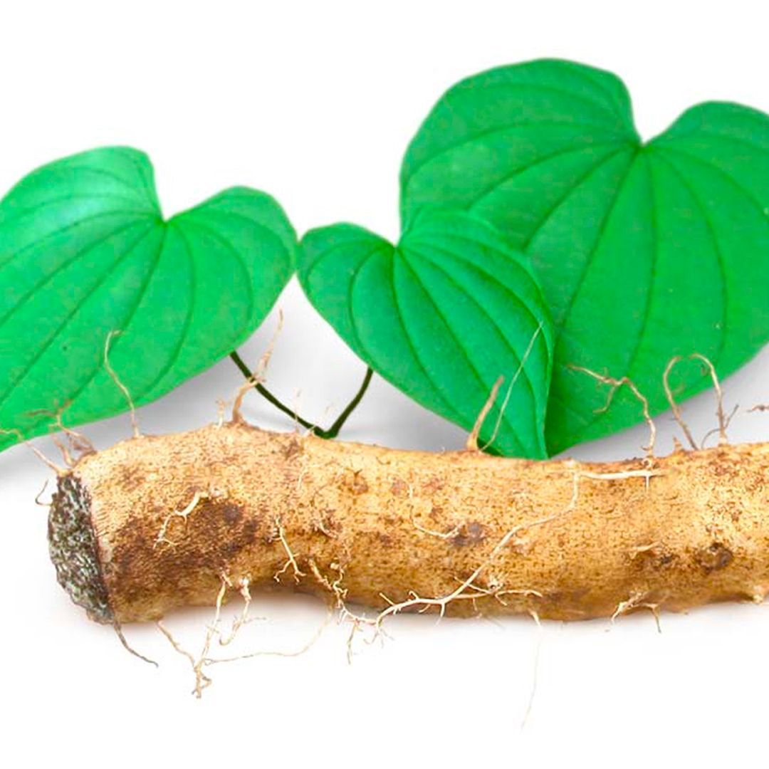 Tuber of wild yam with green leaves against a white background.