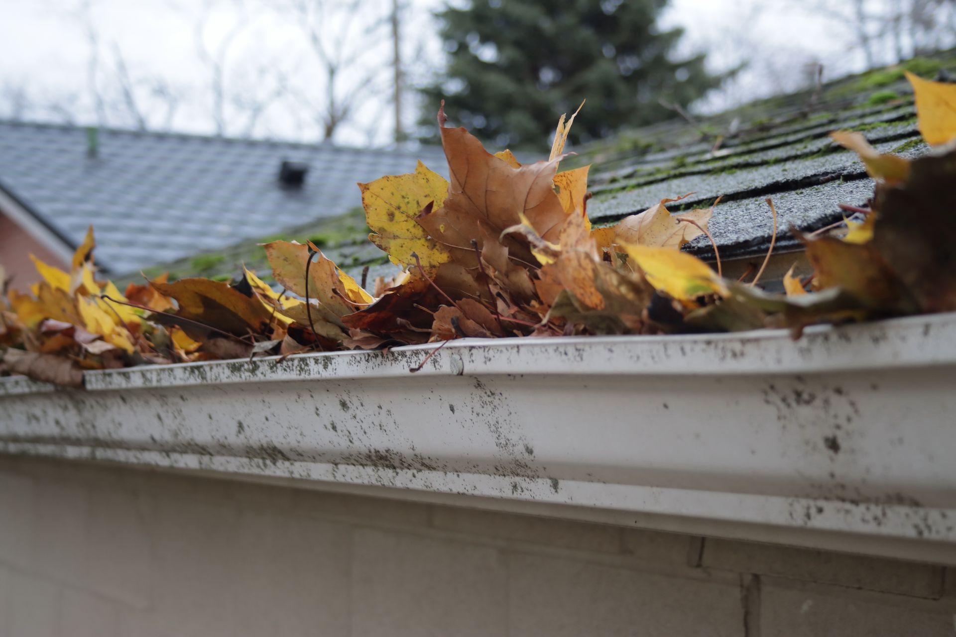 Dirty Gutter — Manassas Park, VA — Advanced General Contractors LLC