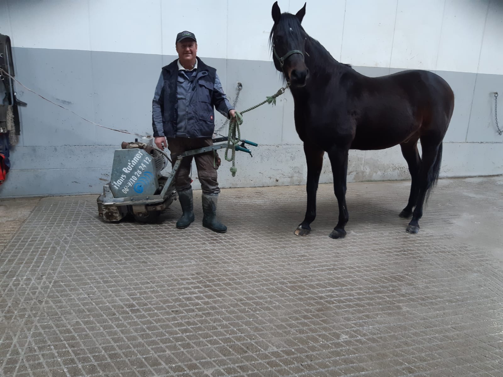 Rutschfreier Pferdestall Pferde Stallboden rutschfrei günstig saniert