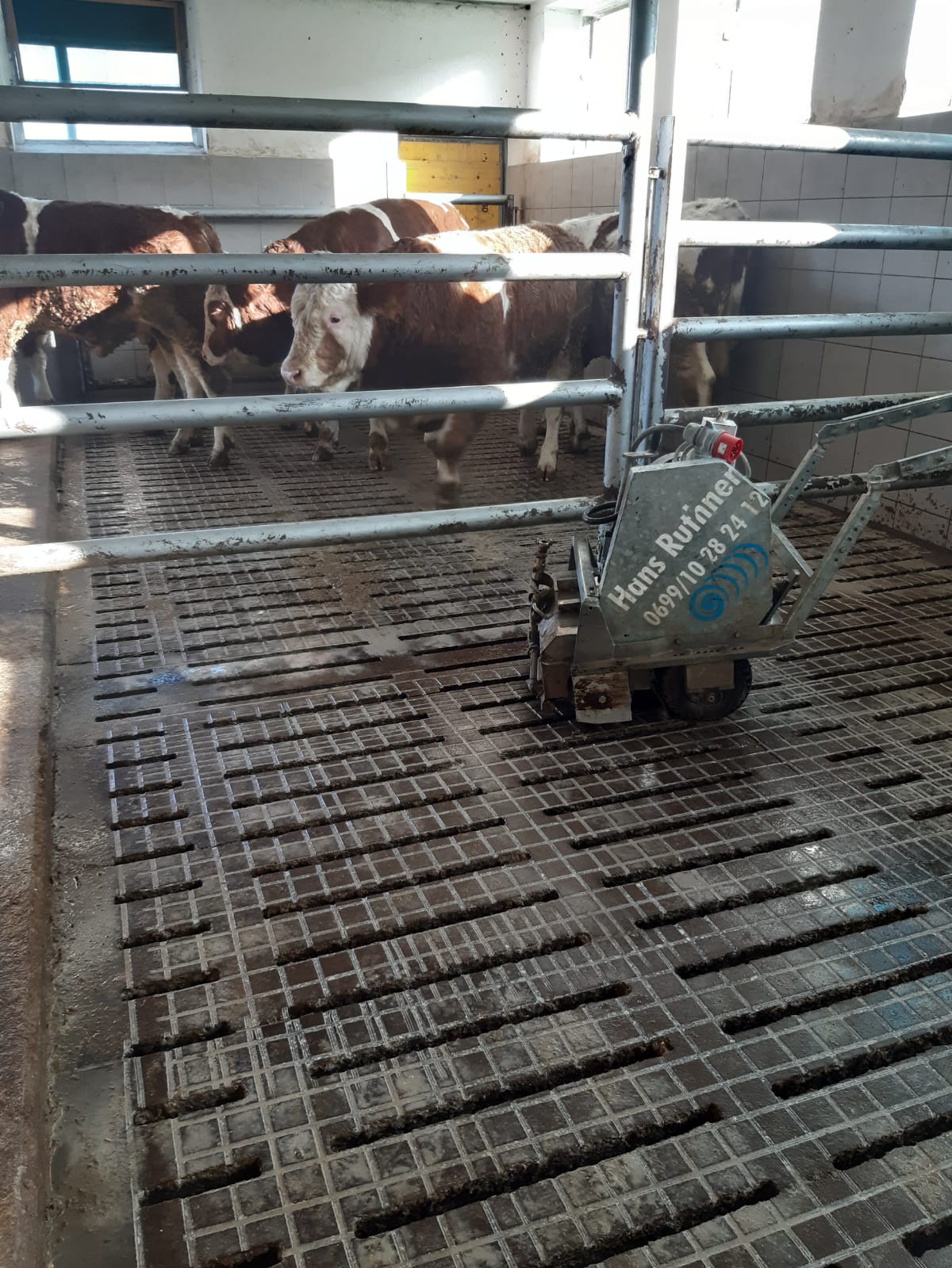 Stierstall saniert Stierstall mit Grip