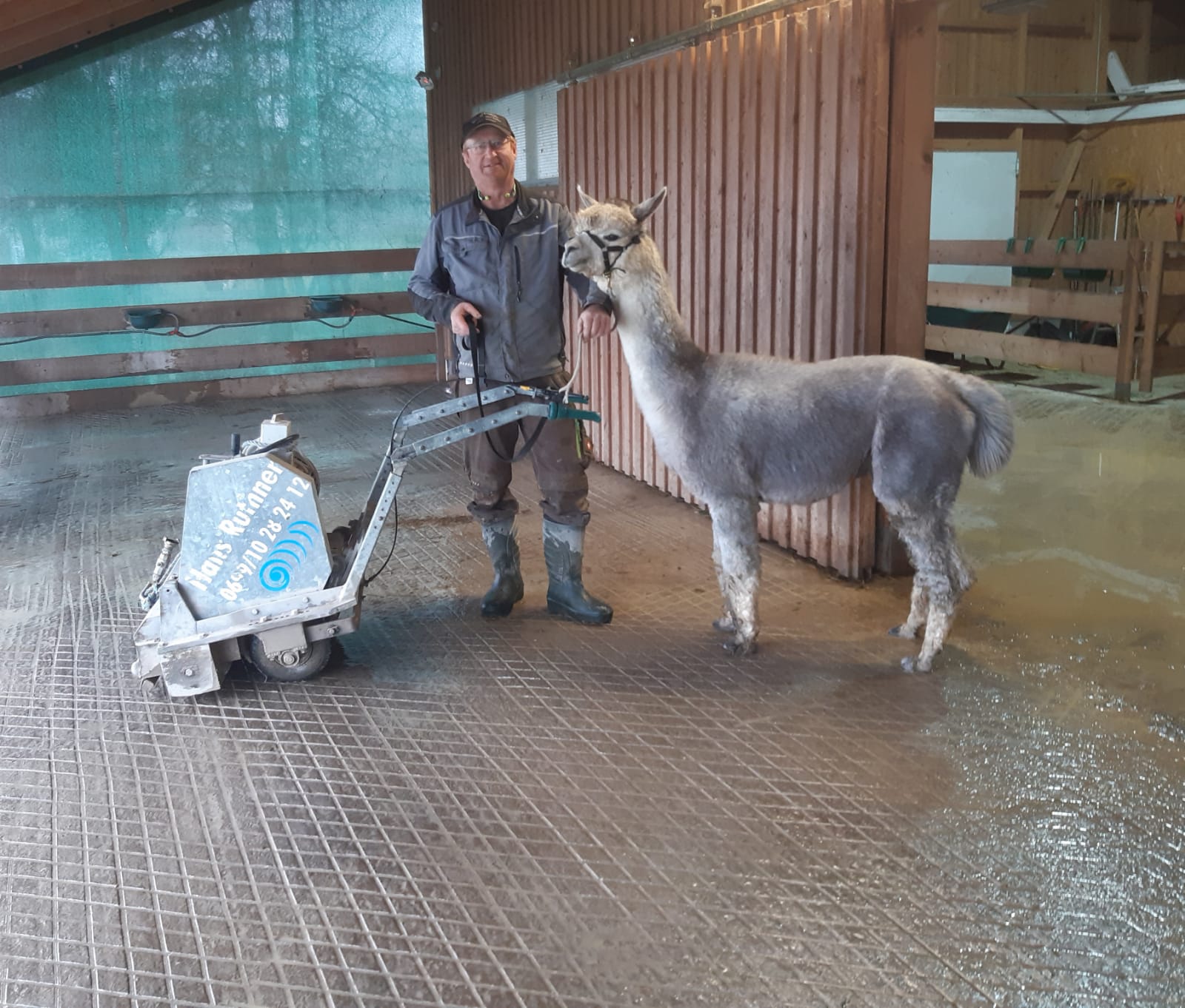 Fertig sanierter Stall Hans Ruther und ein Alpaka