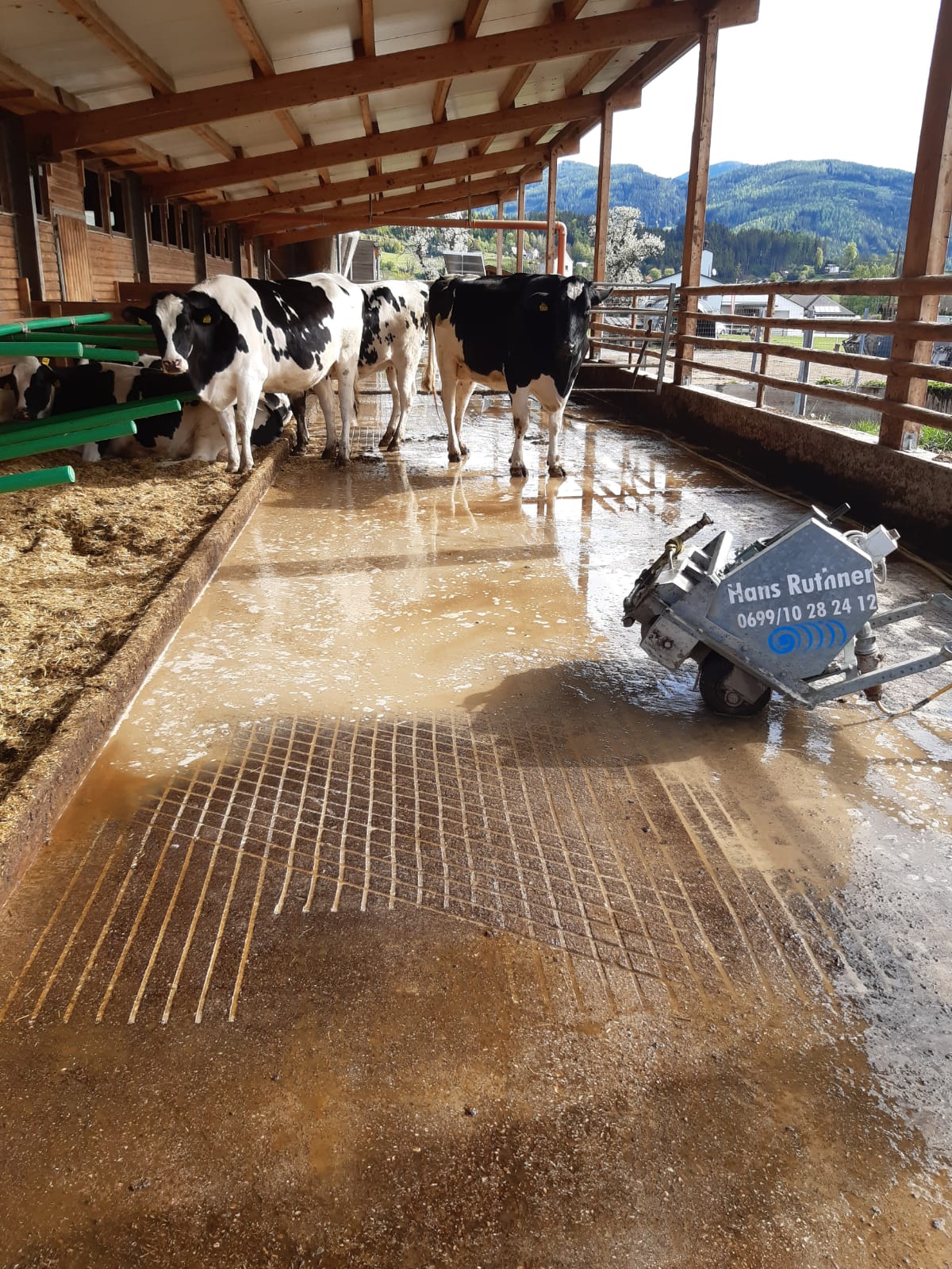 Betonfläche im Betrieb Problemlos aufrauen, rillen +beton+kühe+freilauf+grip+aufrauhen+ruthner+steiermark+österreich+austria+lauffläche+rillen