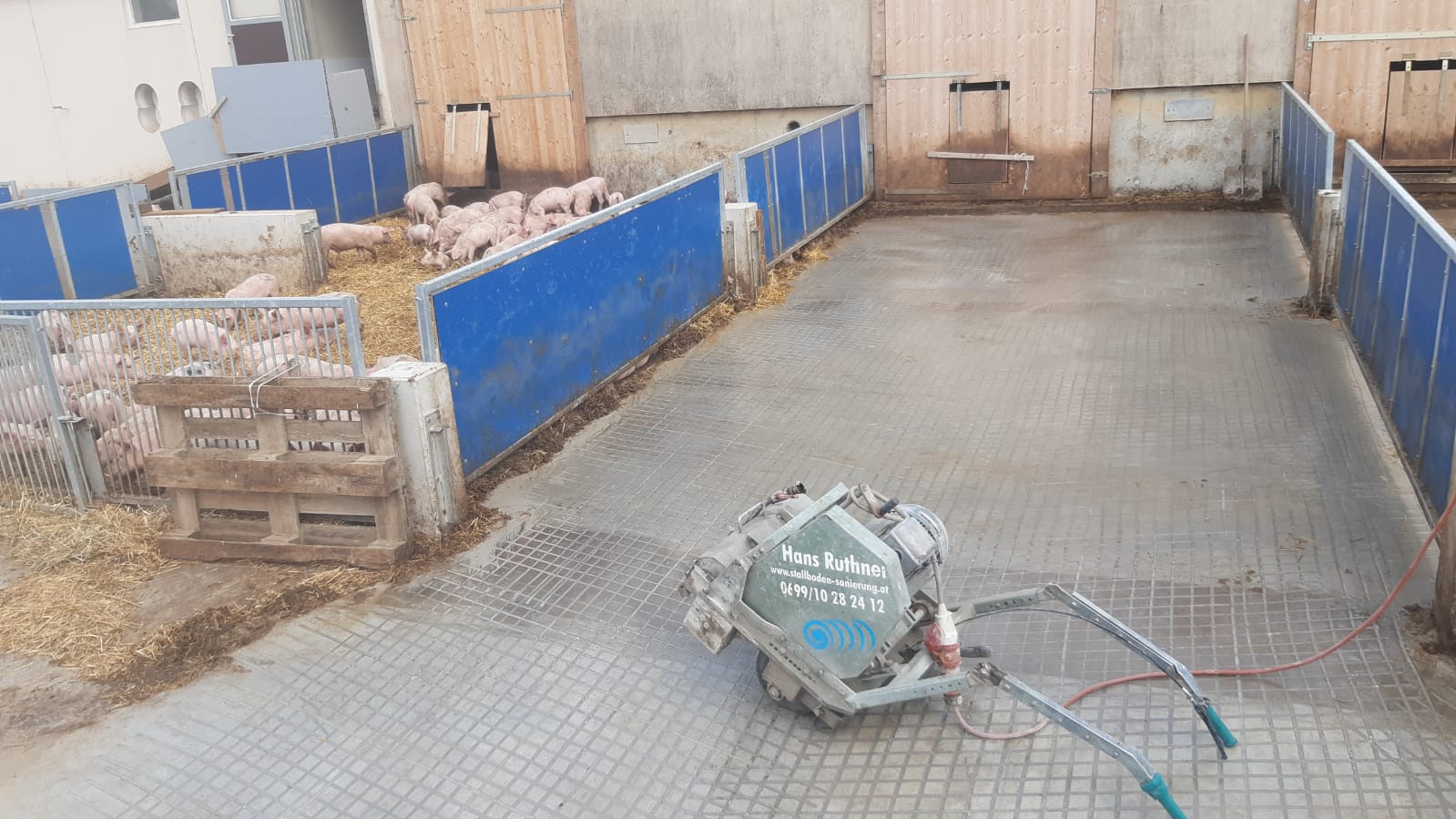 Planbefestigte Fläche eines Schweine Zuchtbetriebes wieder einfach und schnell wieder rutschfest