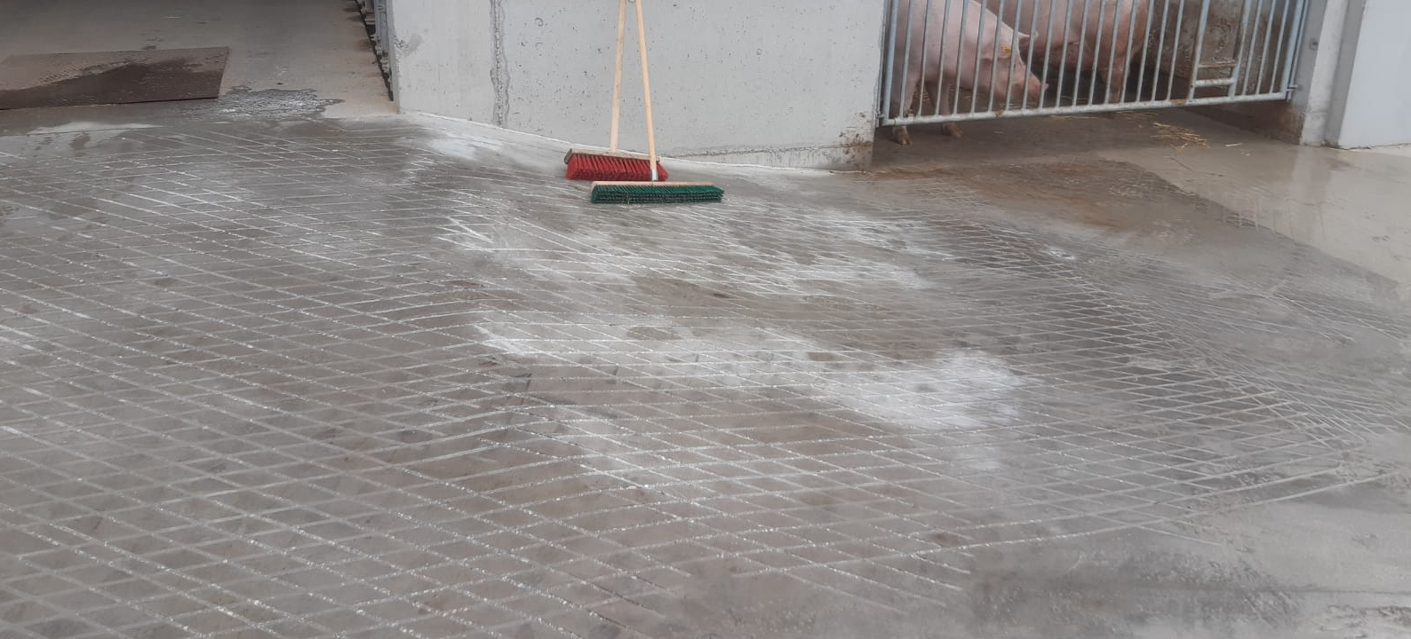 Sanierte Lauffläche von Hans Ruthner Beispiel sanierte Lauffläche von Hans Ruthner