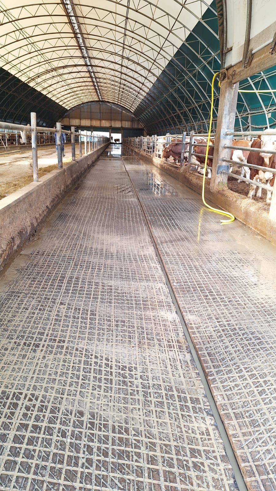 Mistschieber Kotschieber rutschfest, Rutschiger Stallboden wieder mit Grip