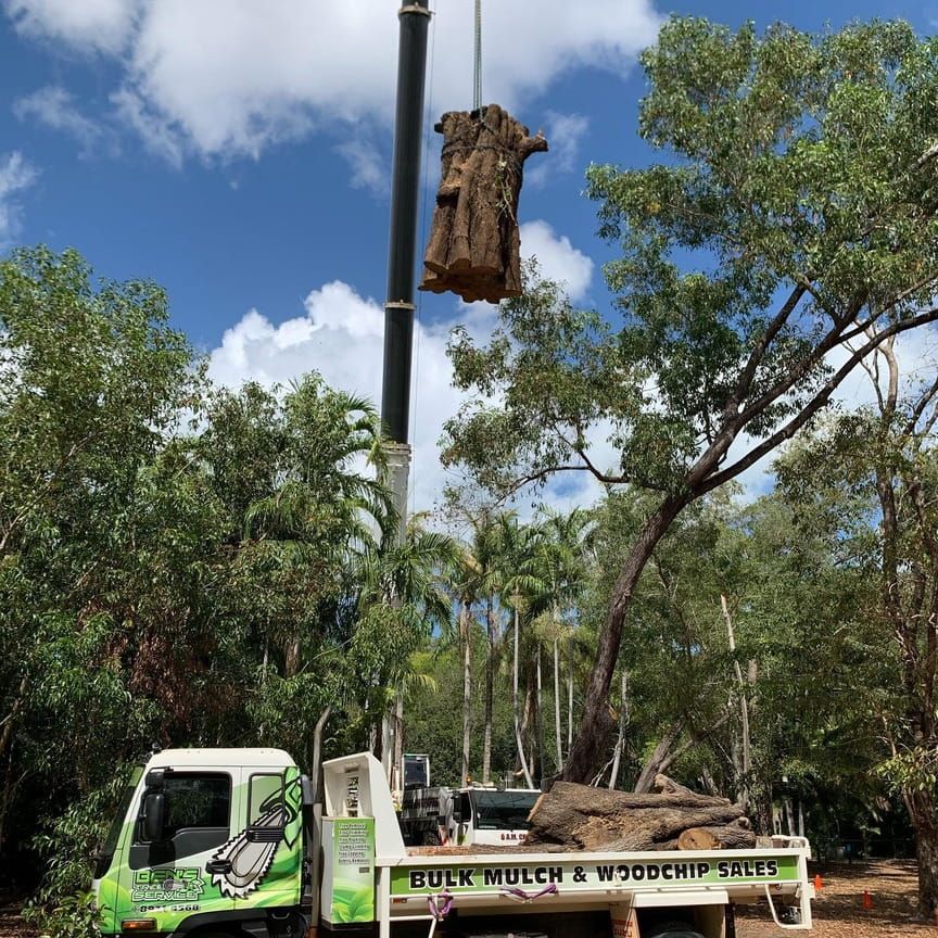 Small Tree Carried By A Crane — Tree Services In Palmerston, NT