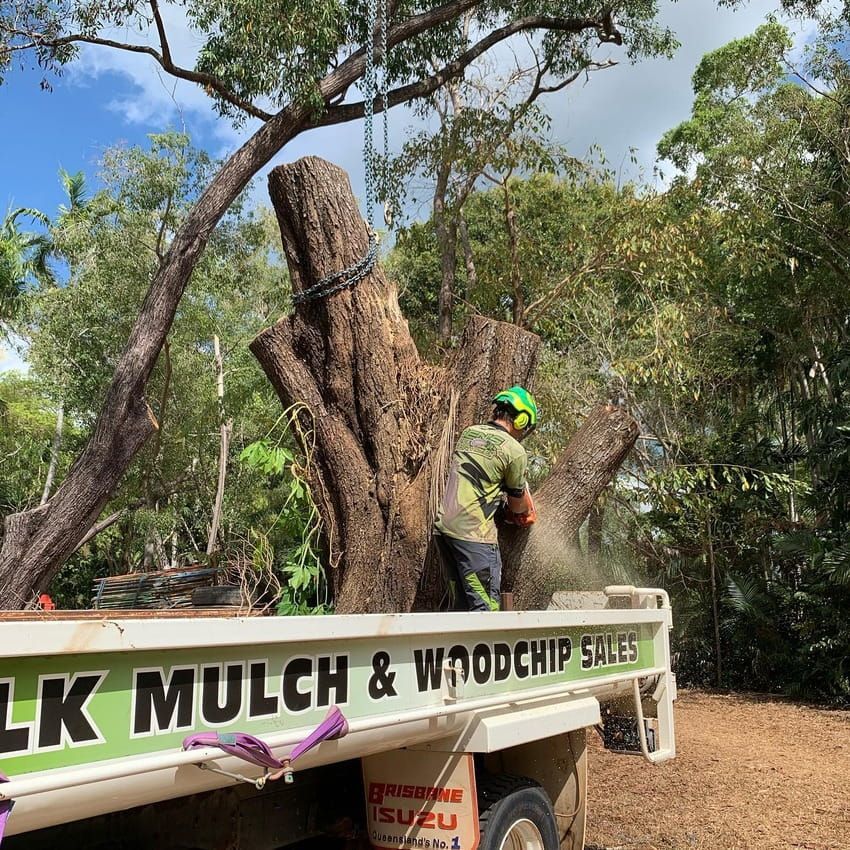 Worker Using A Crane — Tree Services In Palmerston, NT
