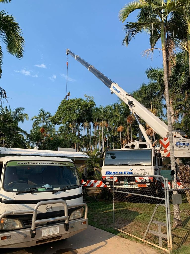 Crane Parked At A Sidewalk — Tree Services In Palmerston, NT