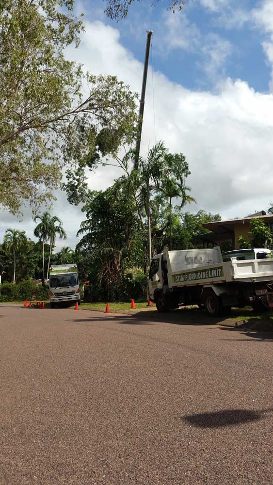 Business Vehicles Parked — Tree Services In Palmerston, NT