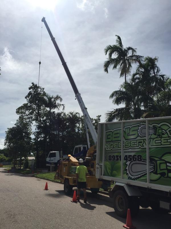 Crane At Work — Tree Services In Palmerston, NT
