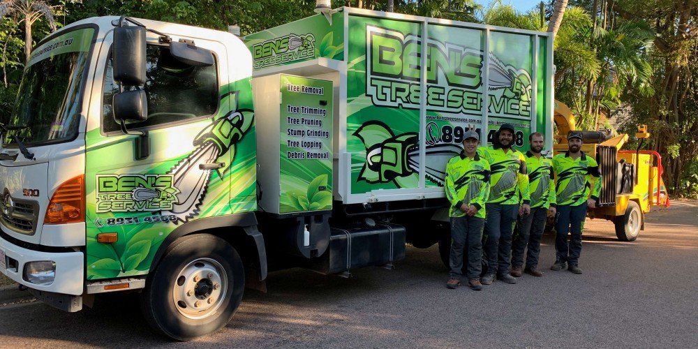 Workers Standing Next To A Company Vehicle — Tree Services In Palmerston, NT