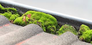 Service nettoyage gouttières Liège