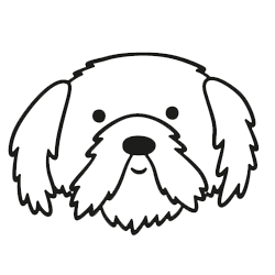 House Sitting - Lake Tapps, WA - 3 Dog Splash House Sitting - Lake Tapps, WA - 3 Dog Splash