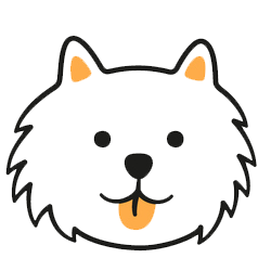 Alternating Lights Curtains - Lake Tapps, WA - 3 Dog Splash Alternating Lights Curtains - Lake Tapps, WA - 3 Dog Splash