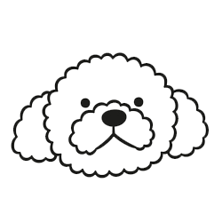 Taking Animals To Vet Or Groomers - Lake Tapps, WA - 3 Dog Splash Taking Animals To Vet Or Groomers - Lake Tapps, WA - 3 Dog Splash