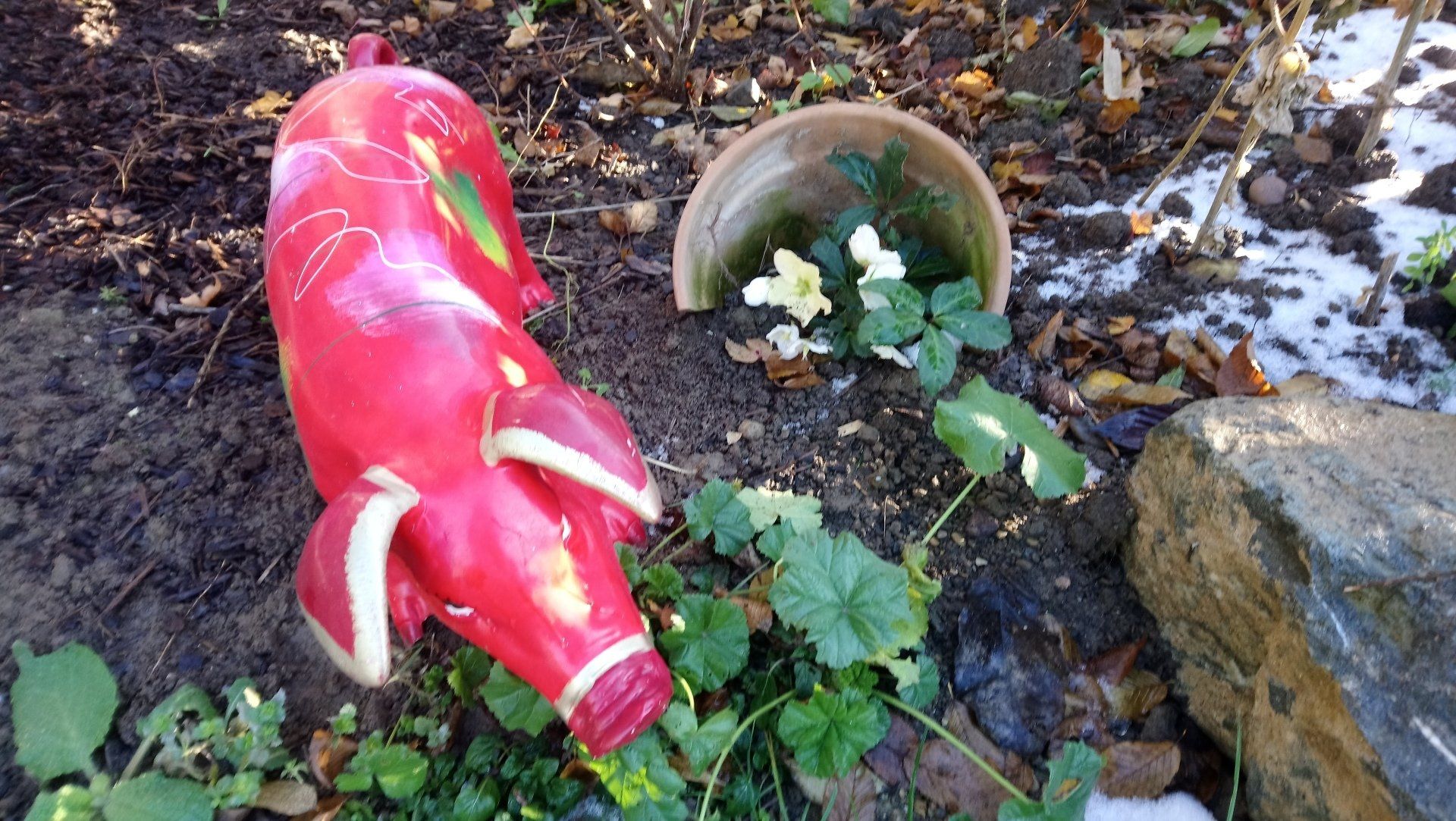 Eine rote Plastikflasche liegt neben einer Topfpflanze auf dem Boden.