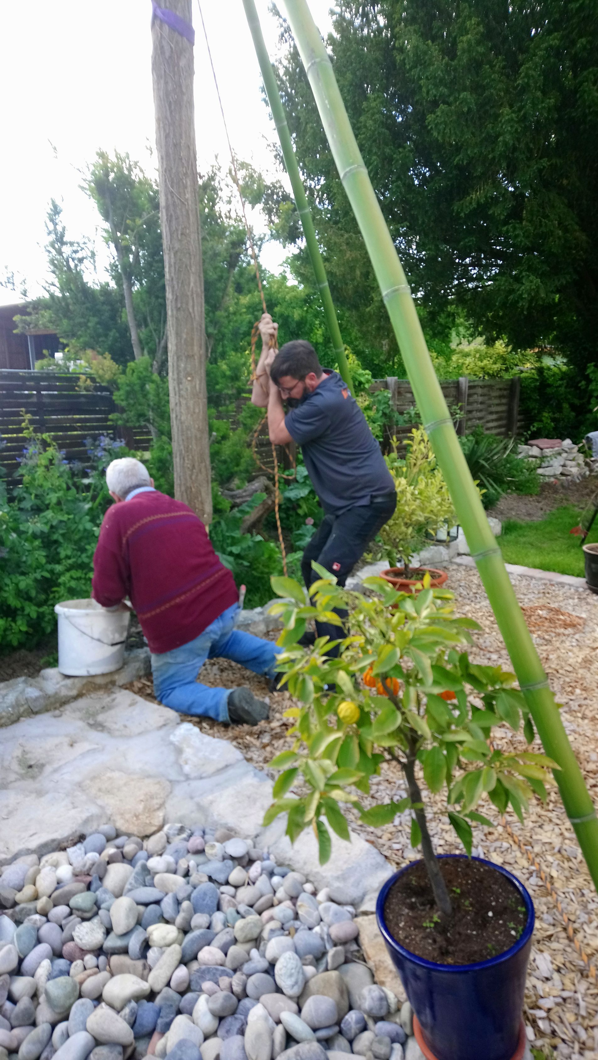 Zwei Männer arbeiten an einem Baum in einem Garten.