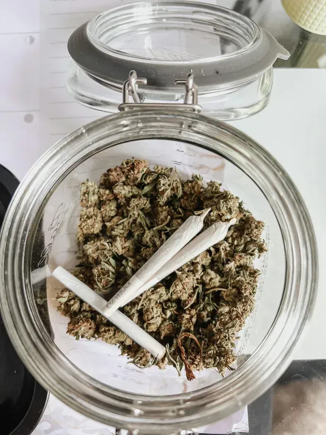 cannabis categories