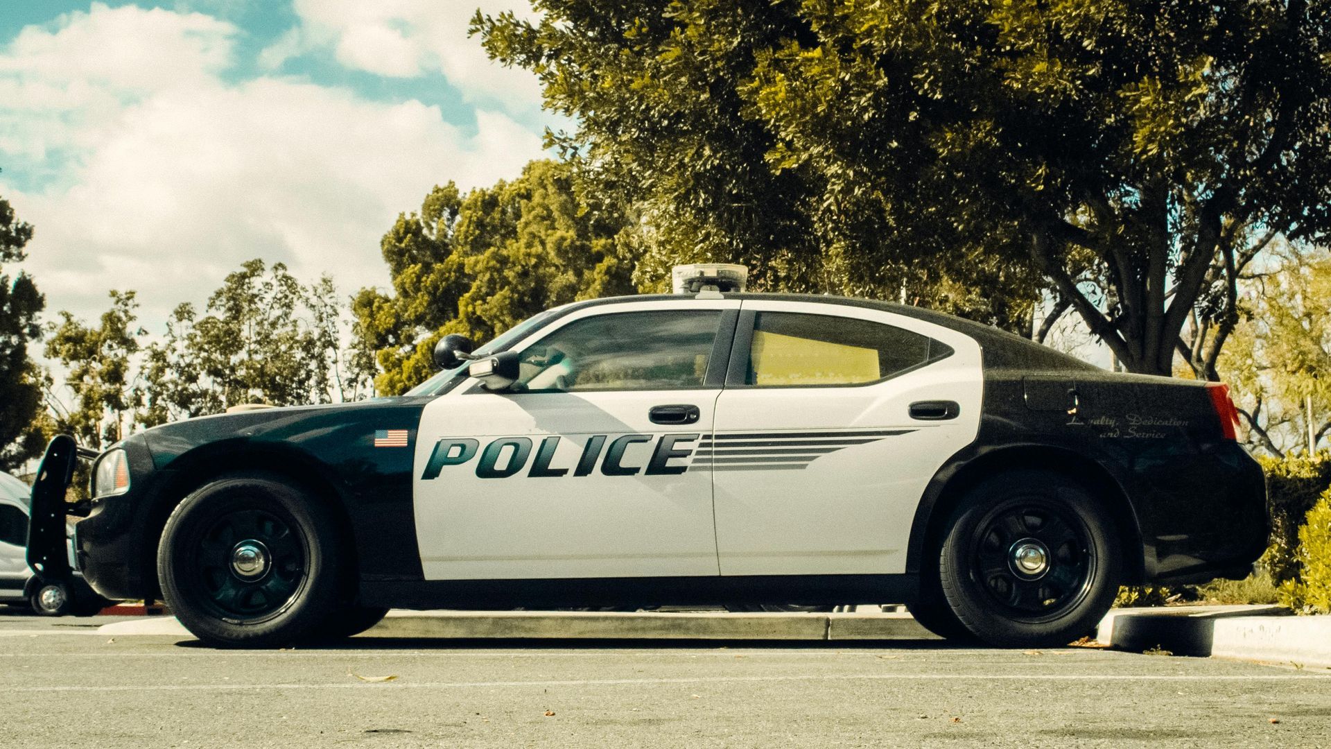 Black and white police car parked on asphalt, tree in the background.