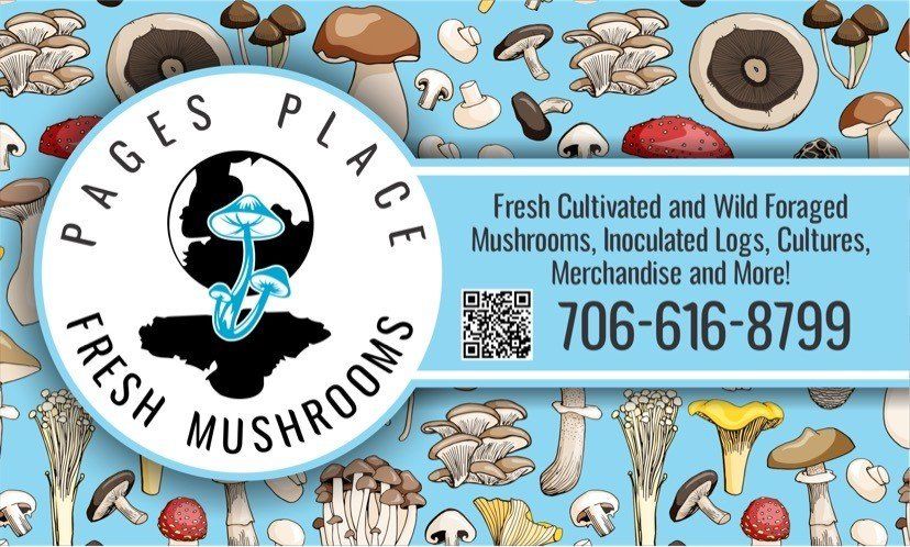 Custom Signs and Banners in Auburn, AL