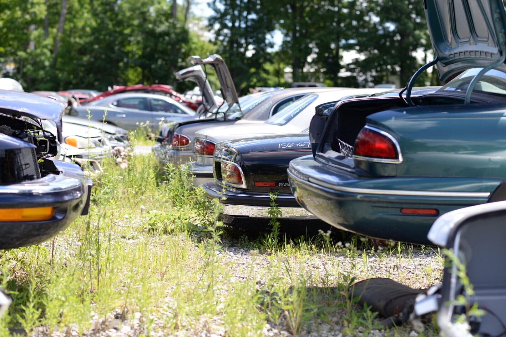 man holding a glass for windshield replacement