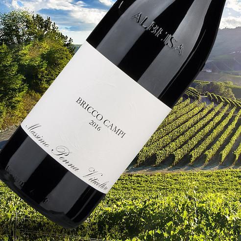nebbiolo