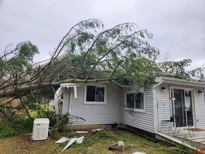 A large fallen tree lying across the roof and siding of a grey, single-story residential home.