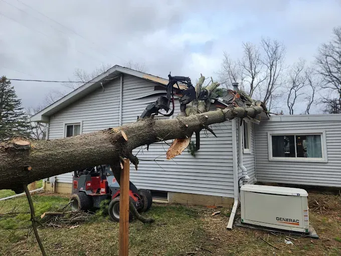 A large tree trunk rests on the roof of a gray house, with a small piece of machinery visible nearby.
