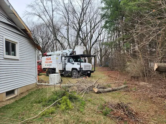 A white utility bucket truck parked in a grassy residential backyard next to a house, with cut tree limbs on the ground.