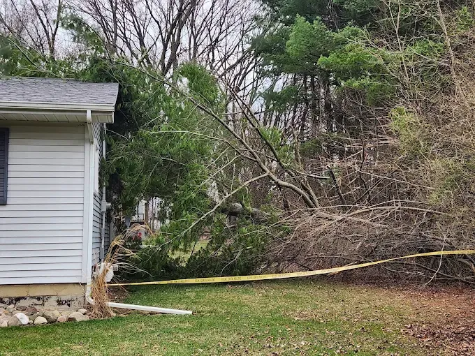 A fallen tree lies against the side of a house, blocked off by yellow caution tape.