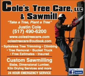 An orange business card for Cole’s Tree Care & Sawmill featuring contact info, services, and a graphic of a tree climber.