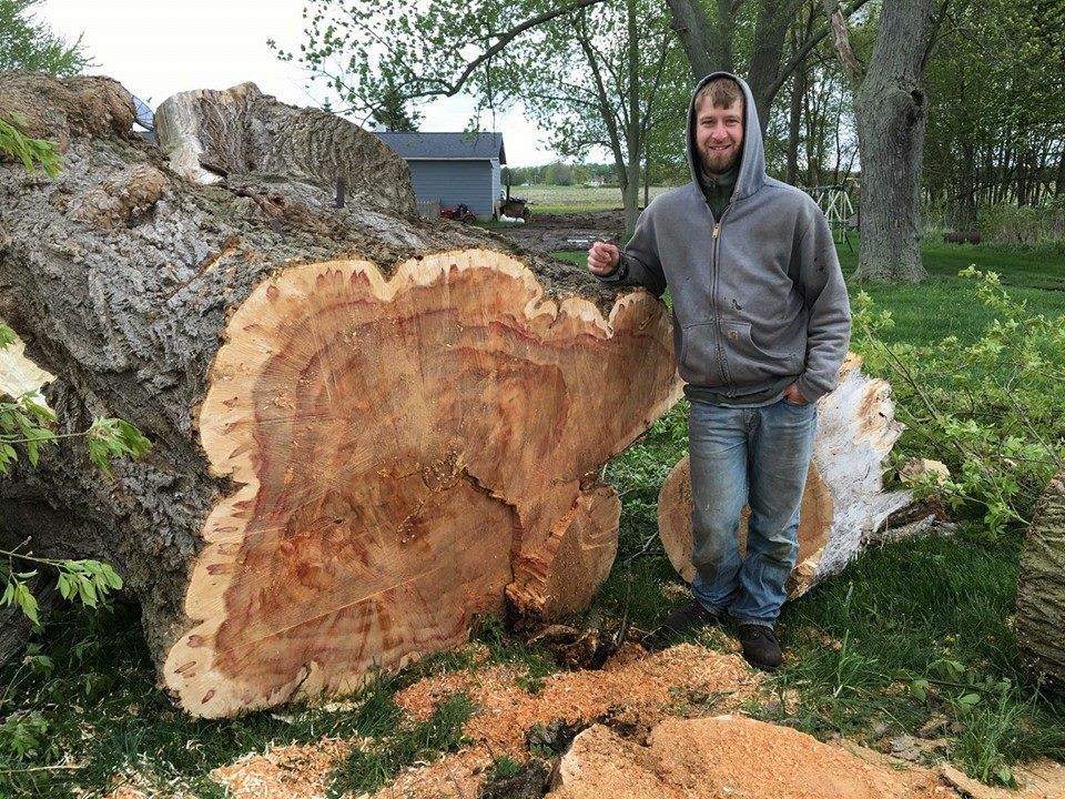 A person in a gray hooded sweatshirt stands next to a massive, freshly cut tree trunk in a grassy outdoor setting.
