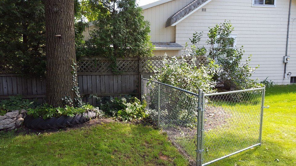 A fenced-in garden bed with green bushes sits next to a large tree and a white house in a backyard.