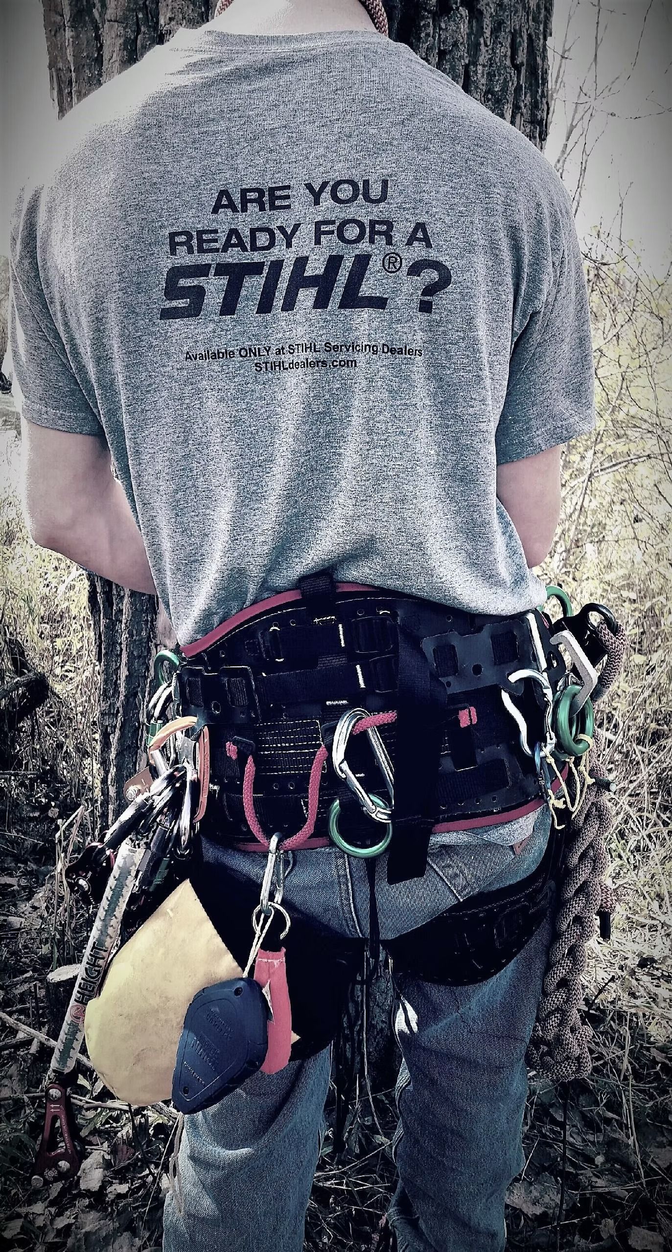 A person in a gray Stihl branded shirt stands outdoors, wearing a professional arborist climbing harness with gear.