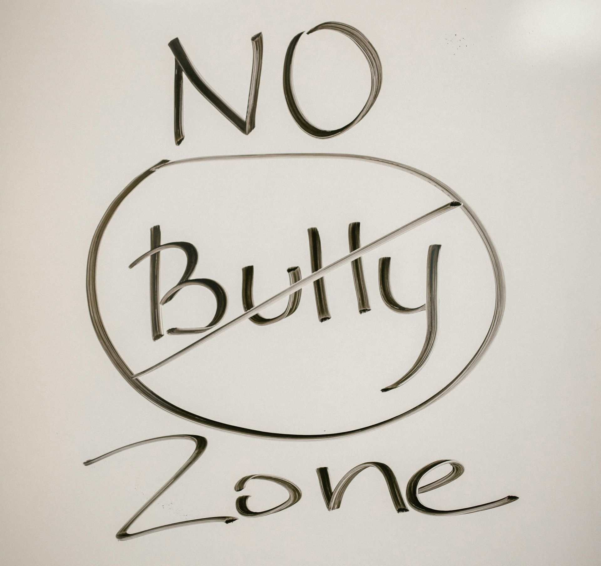 No Bully Zone