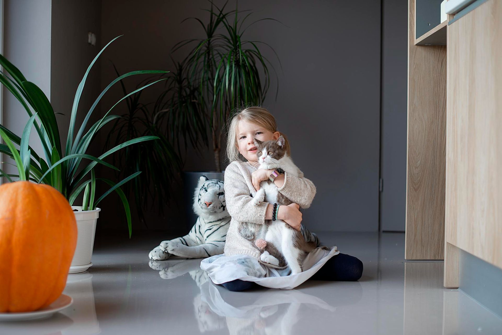 little girl holding a cat