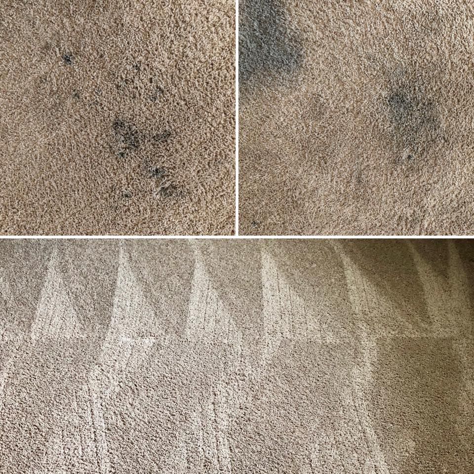 Carpet with dark stains before cleaning, followed by clean carpet with visible cleaning patterns.