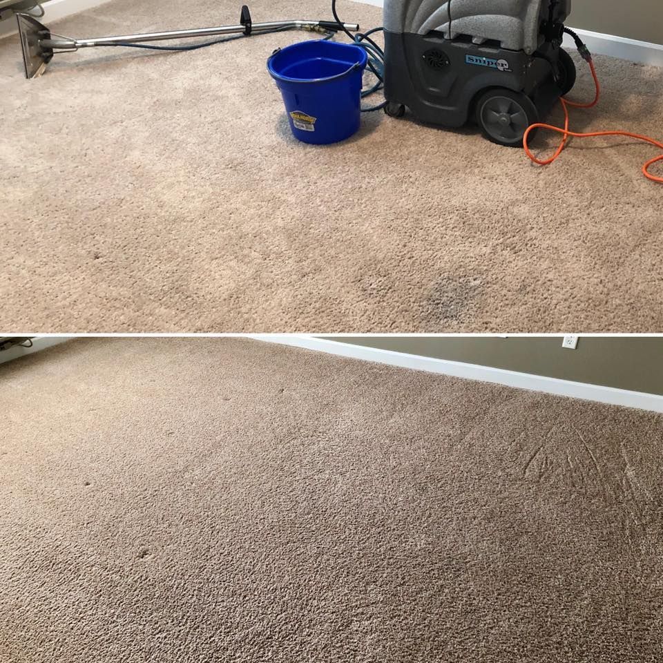 Top half shows carpet cleaning equipment. Bottom half shows cleaned beige carpet.