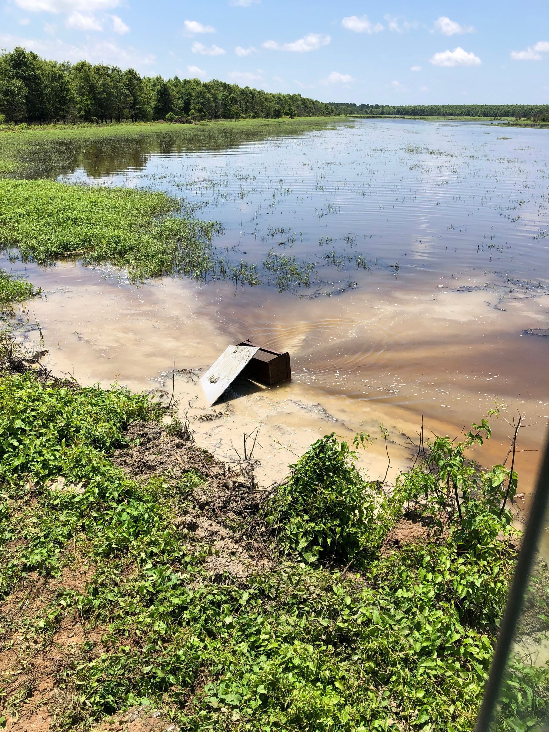 Yellow construction equipment on a grassy field with trees in the background under a blue sky.