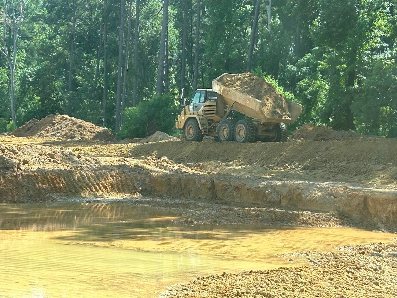 Green field of crops with trees and blue sky in background.