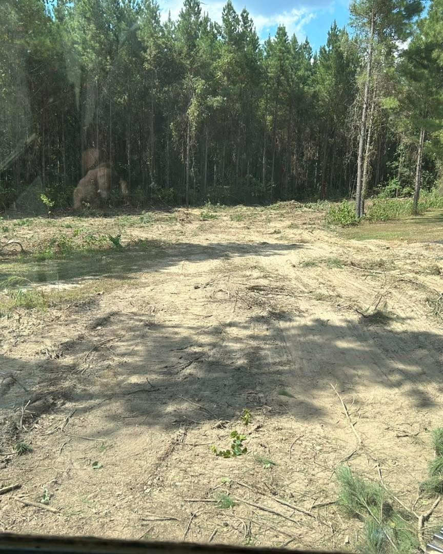 Cleared land with dirt path, trees in the background, sunny day.