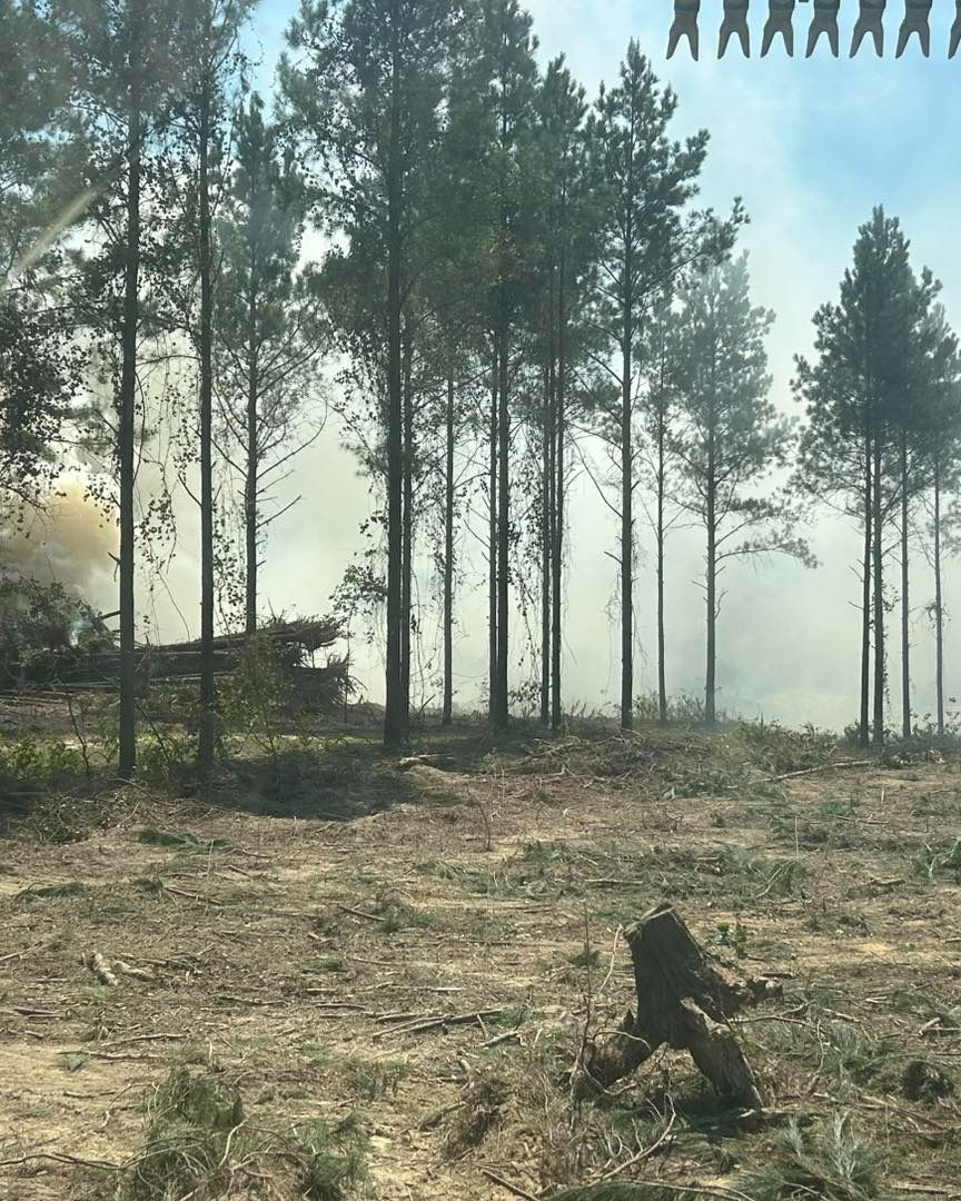 Forest fire in a clear-cut area with smoke rising among tall trees.