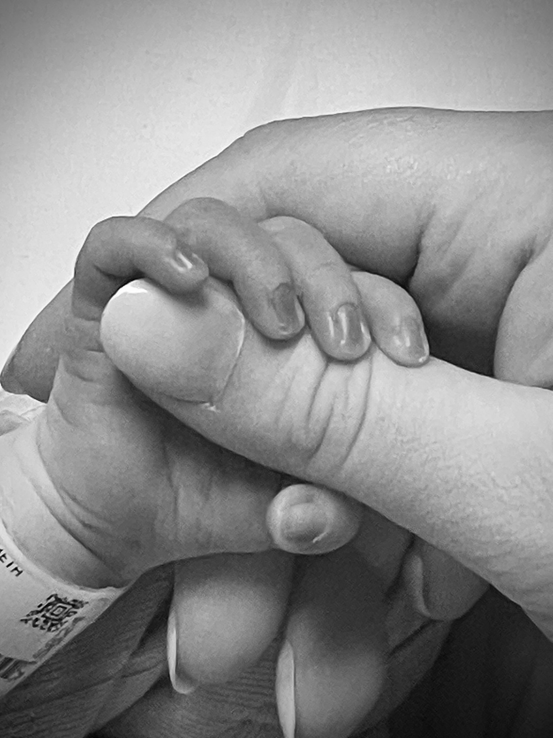 Baby's tiny hand grasping an adult's finger. Black and white.