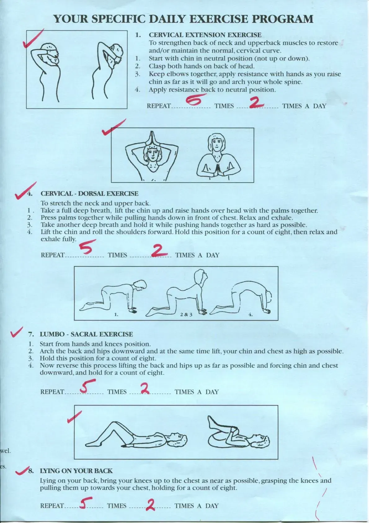 Exercise Brochure