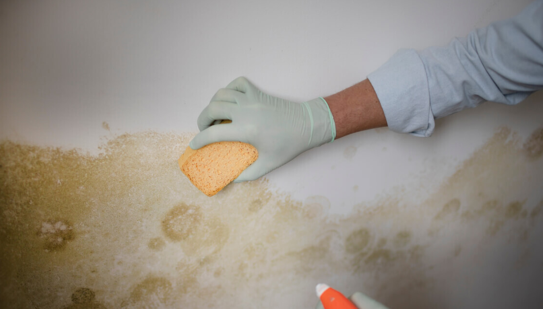 Worker scrubbing mold and mildew from boat hull