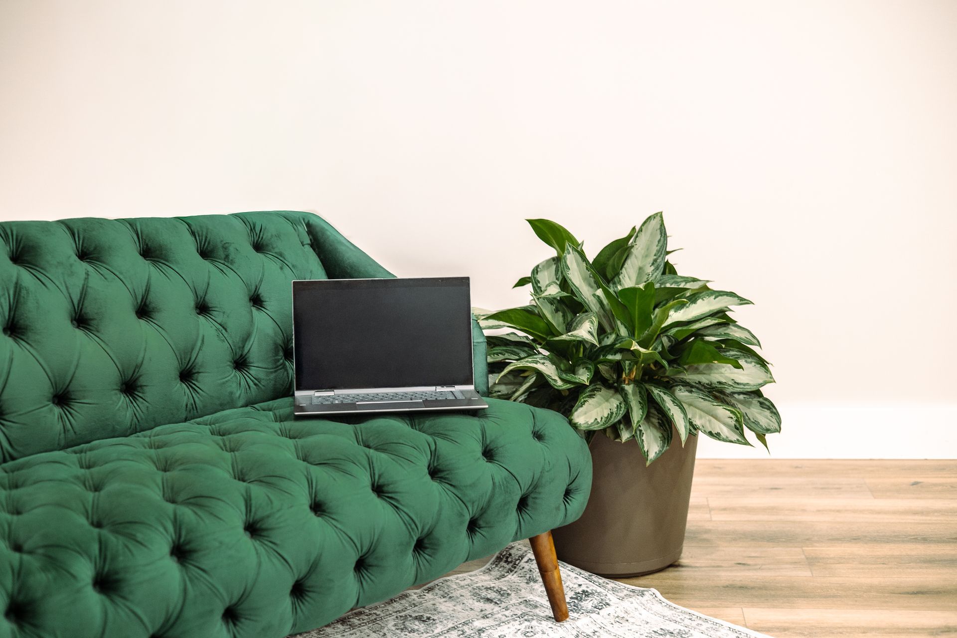 bramjam web design and marketing firm Brand shoot 