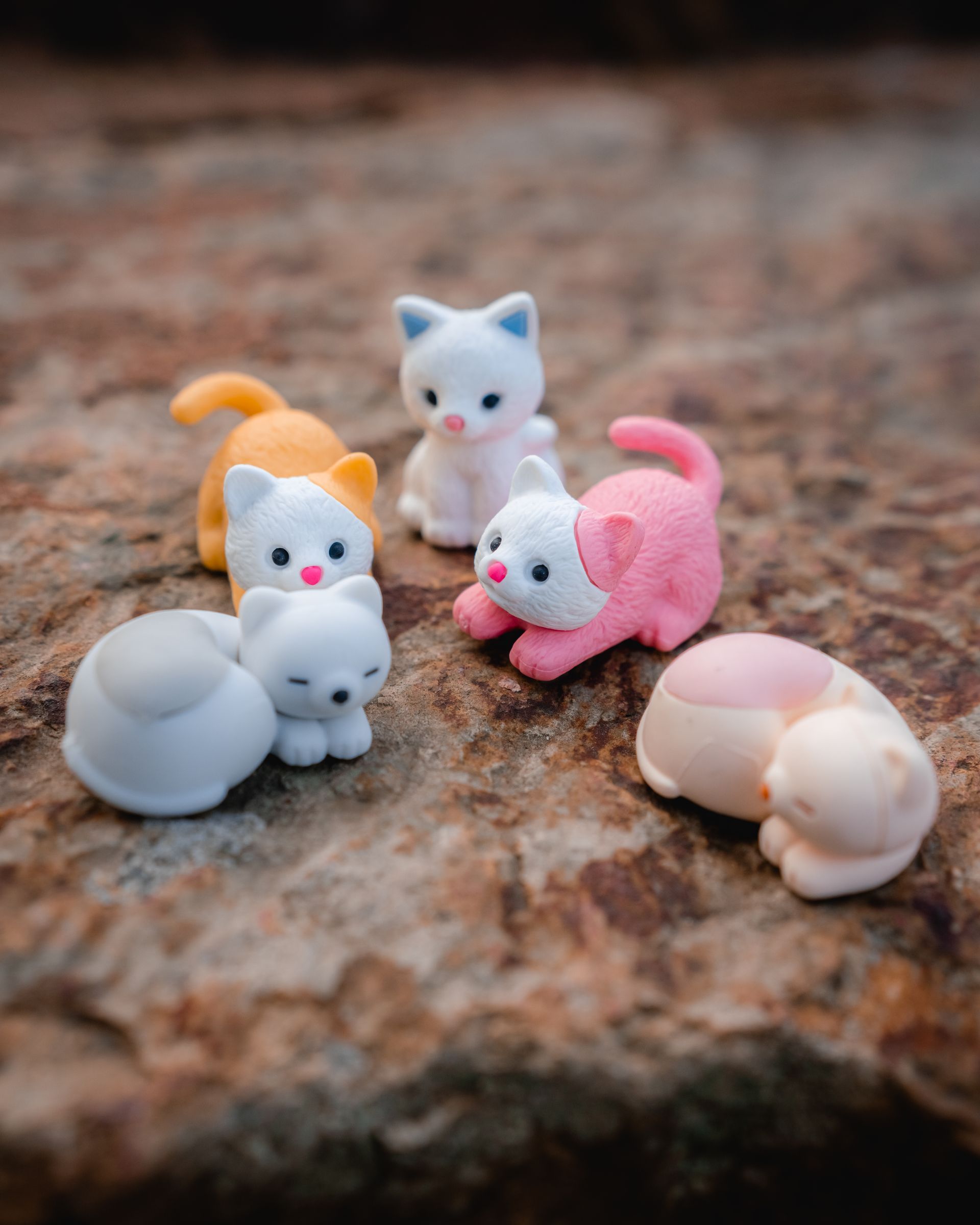 60 pieces per box
RRP $2 per piece