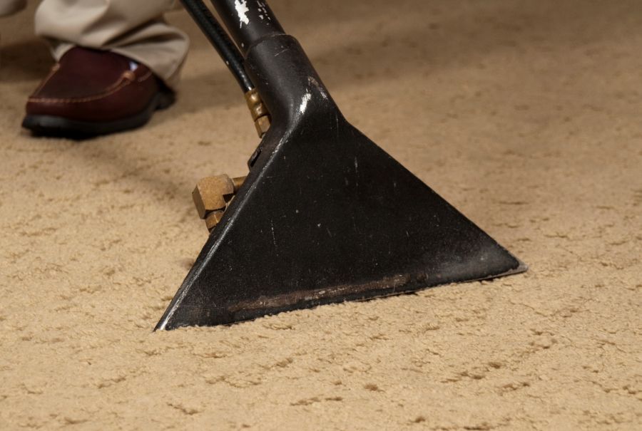 A person is using a vacuum cleaner to clean a carpet