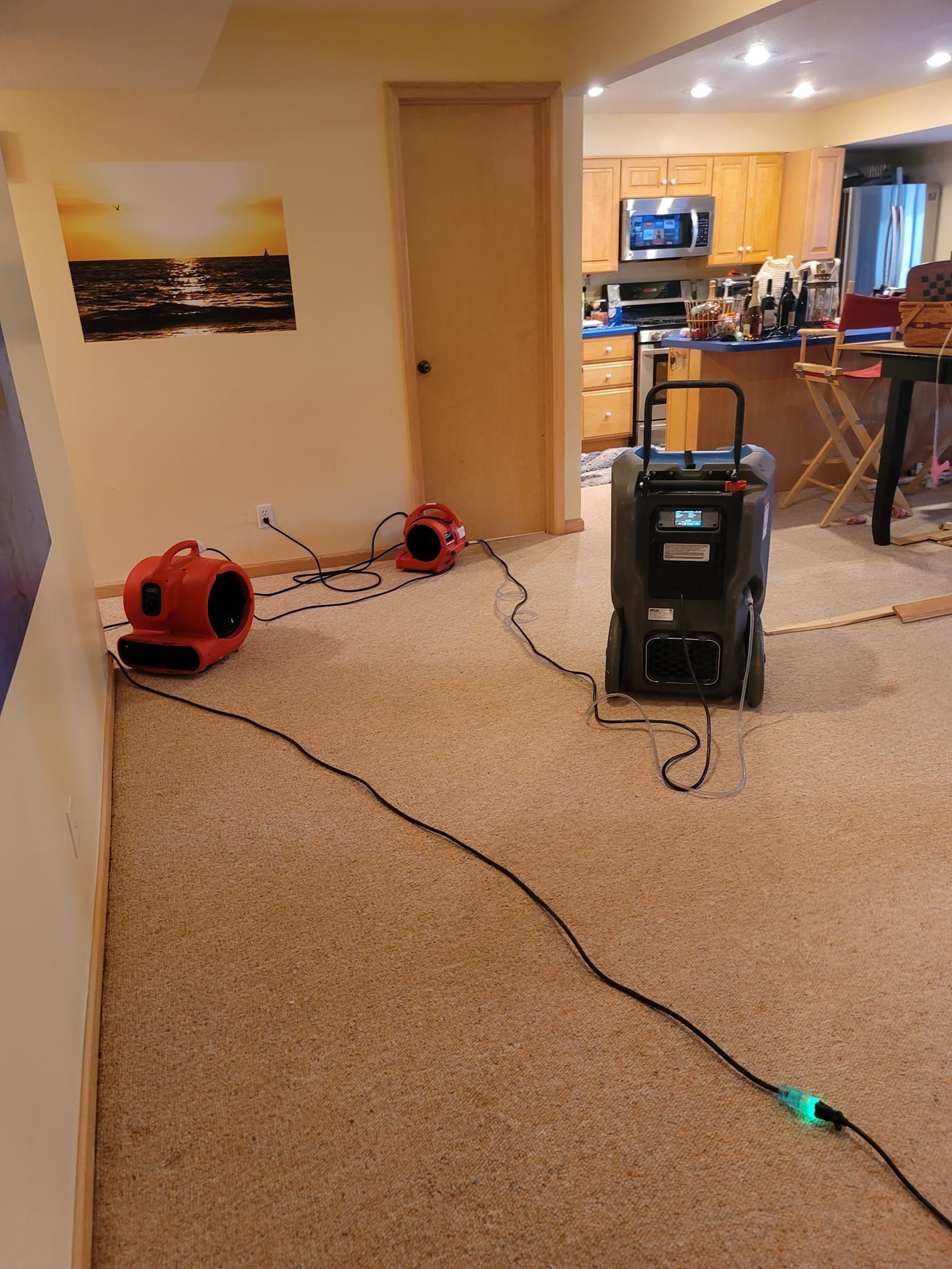 A room with a carpeted floor and a vacuum cleaner on the floor.
