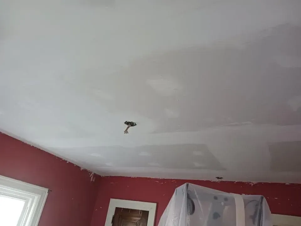 A room with red walls and a white ceiling.